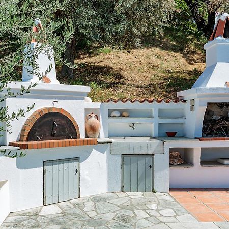 Stamatiou Estate Ξενοδοχείο Νέο Κλήμα Εξωτερικό φωτογραφία