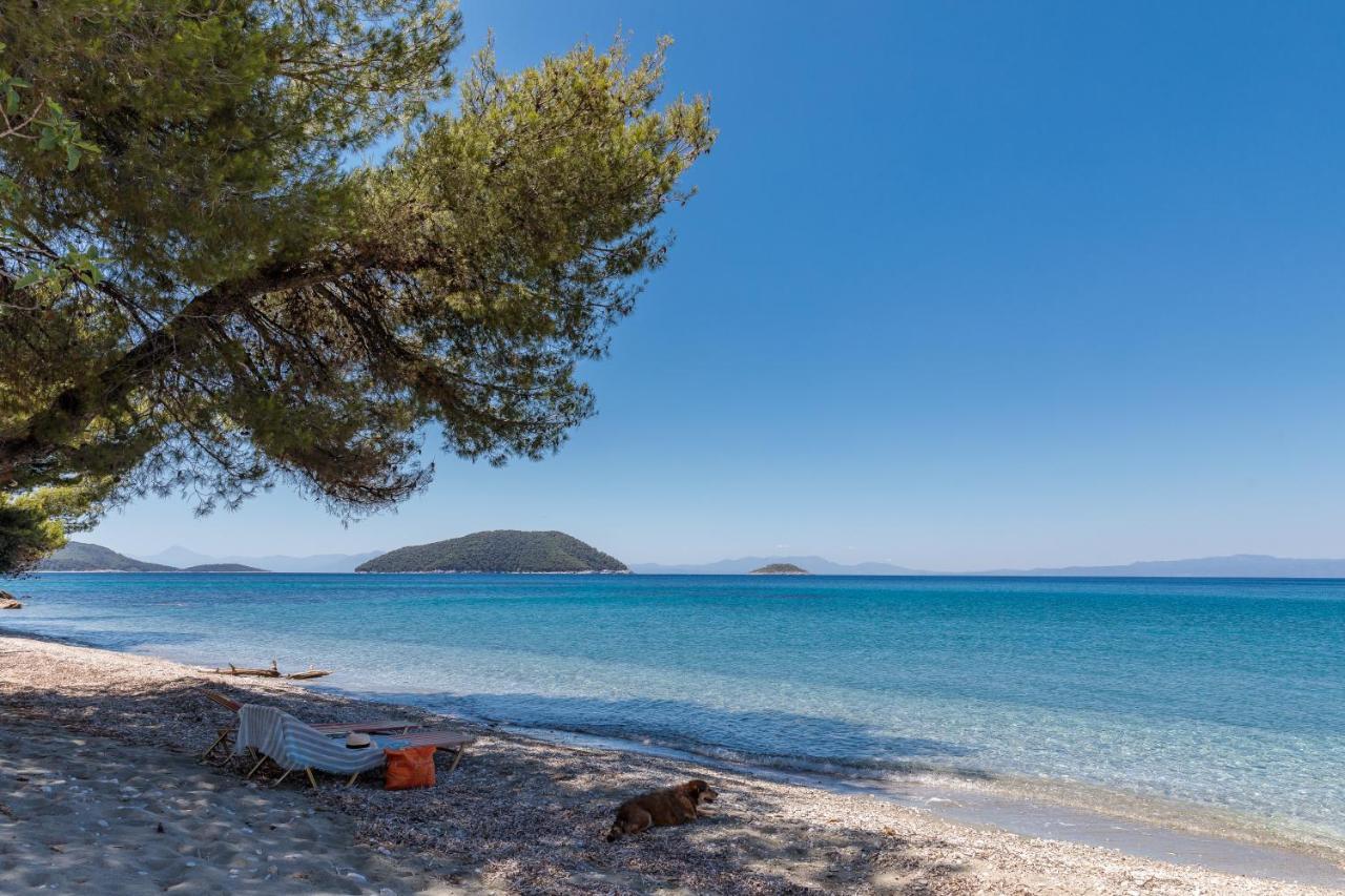 Stamatiou Estate Ξενοδοχείο Νέο Κλήμα Εξωτερικό φωτογραφία