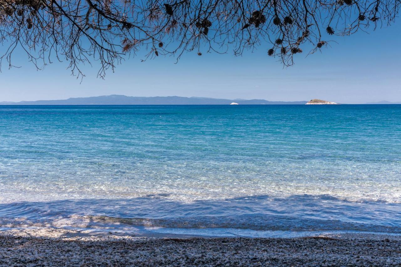 Stamatiou Estate Ξενοδοχείο Νέο Κλήμα Εξωτερικό φωτογραφία