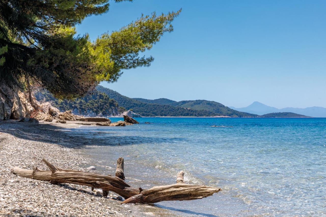 Stamatiou Estate Ξενοδοχείο Νέο Κλήμα Εξωτερικό φωτογραφία