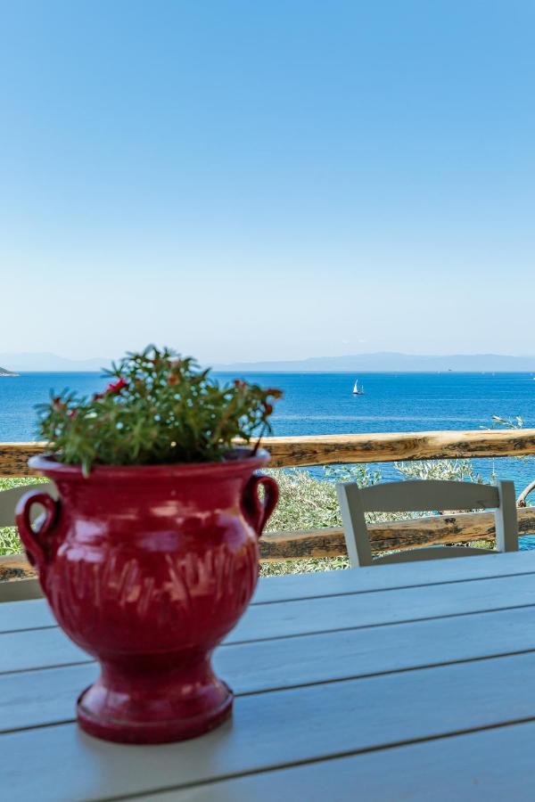 Stamatiou Estate Ξενοδοχείο Νέο Κλήμα Εξωτερικό φωτογραφία