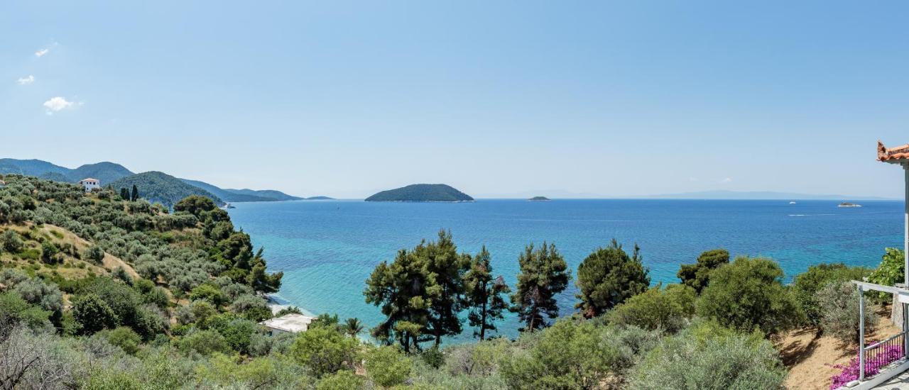 Stamatiou Estate Ξενοδοχείο Νέο Κλήμα Εξωτερικό φωτογραφία